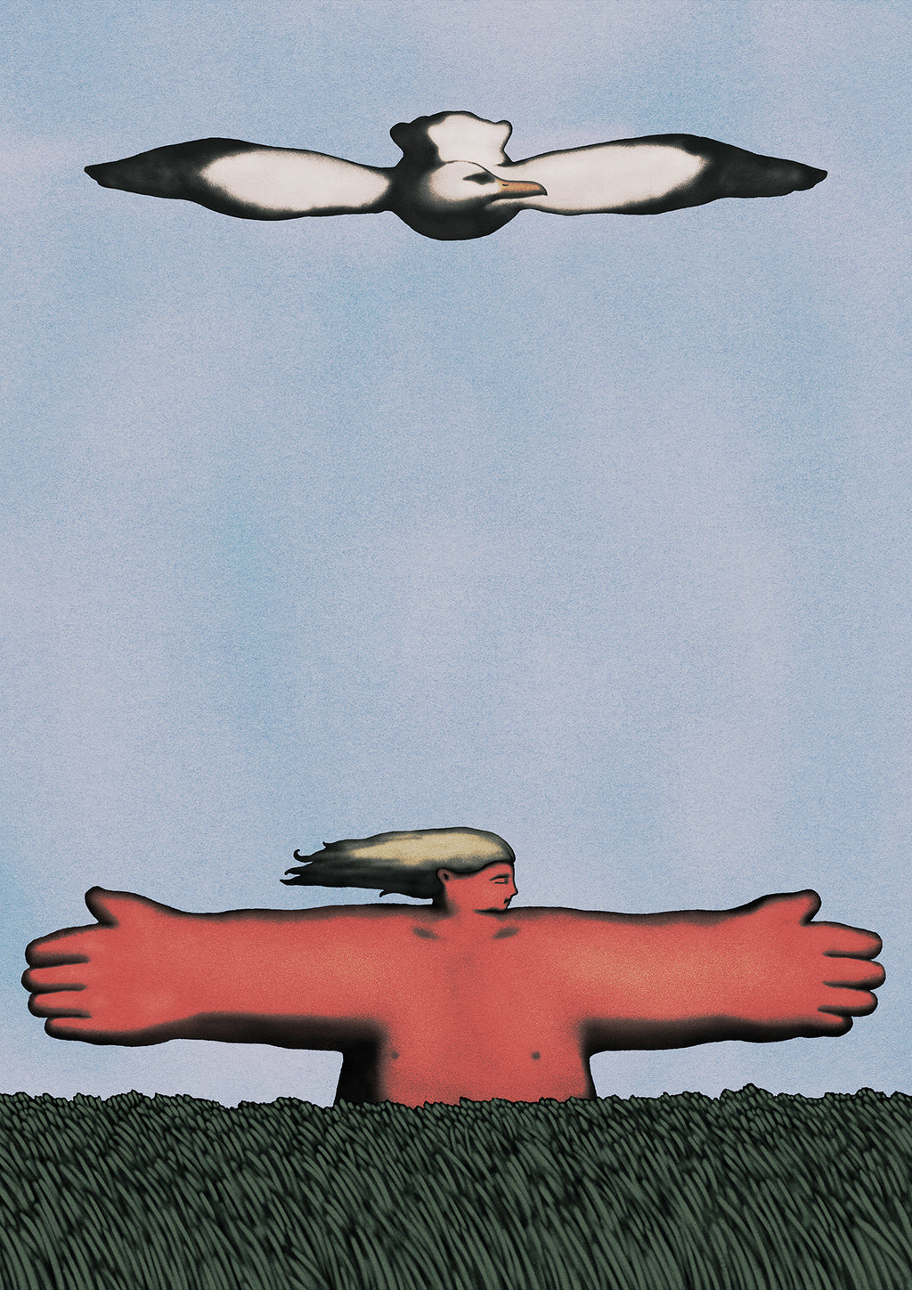 Albatross