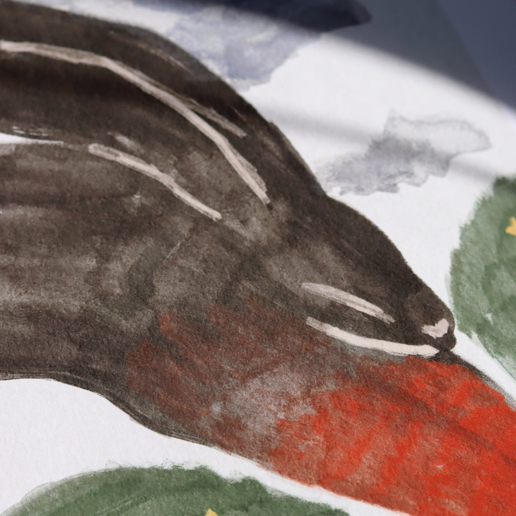 Leaping Hare