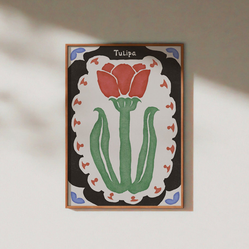 Tulipa