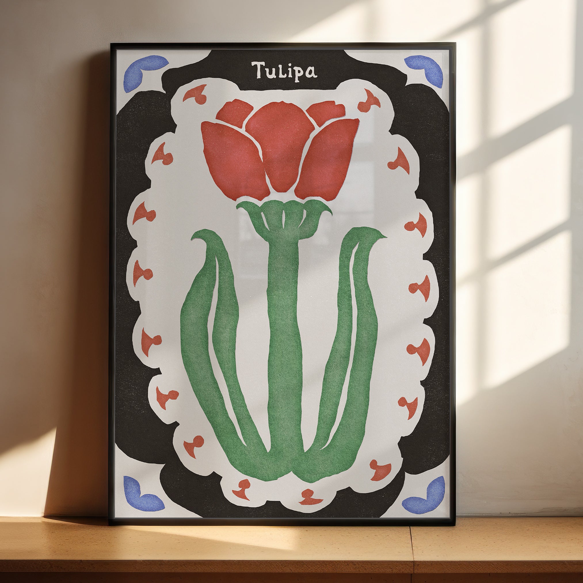 Tulipa